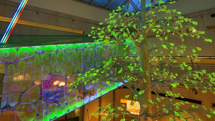 Det Fantastiske Treet Norsk Skogmuseum Led Belyste Plater I Rekkverk 10 16 9