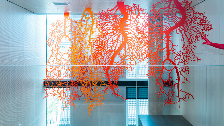 Røtter i plexiglass - et flott kunstprosjekt til Vestlandshus, Vestland Fylkeskommune